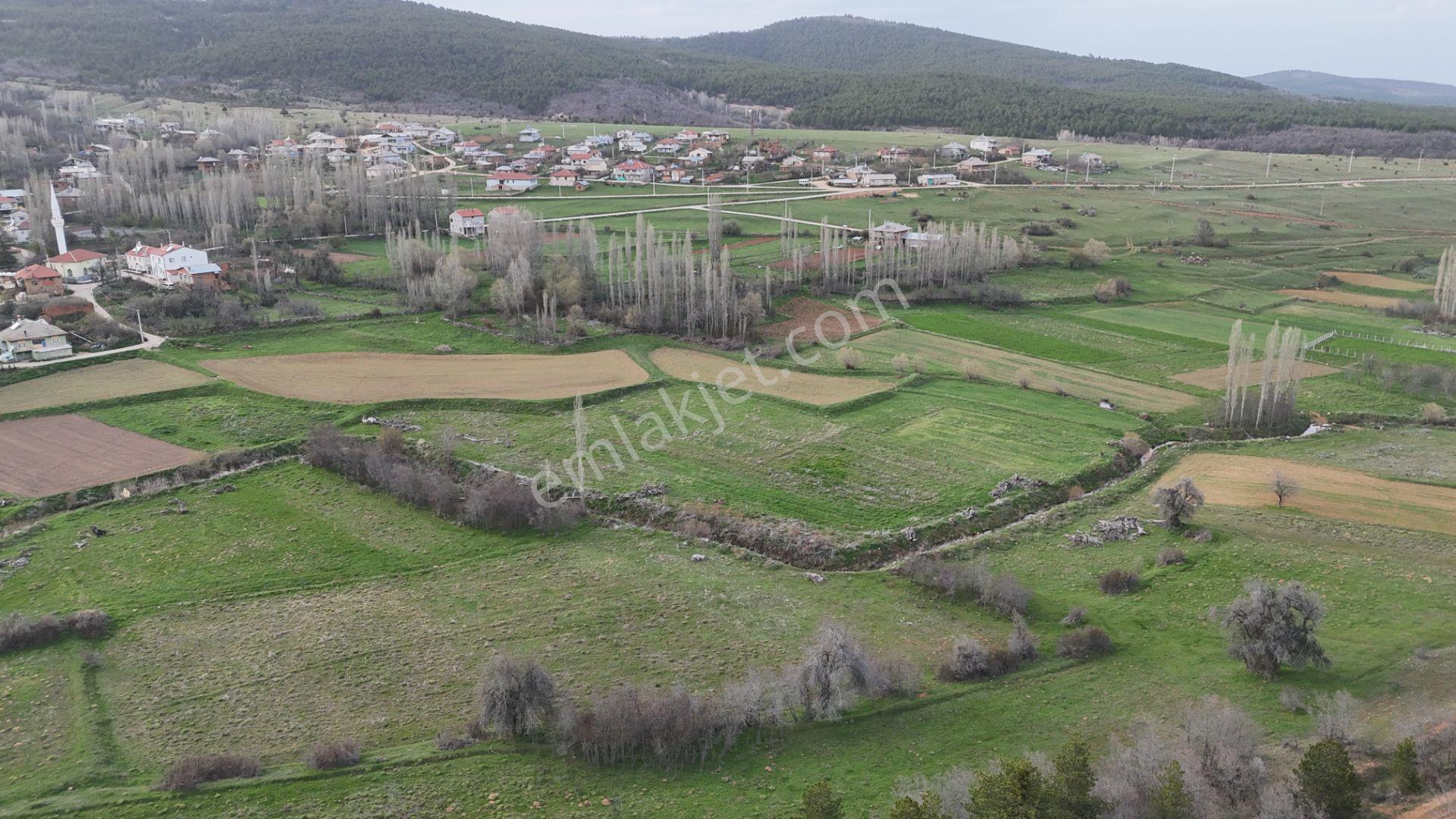 Ilgın Gökbudak'ta 1.375 M² Doğa Manzaralı Satılık Tarla — fotoğraf 8