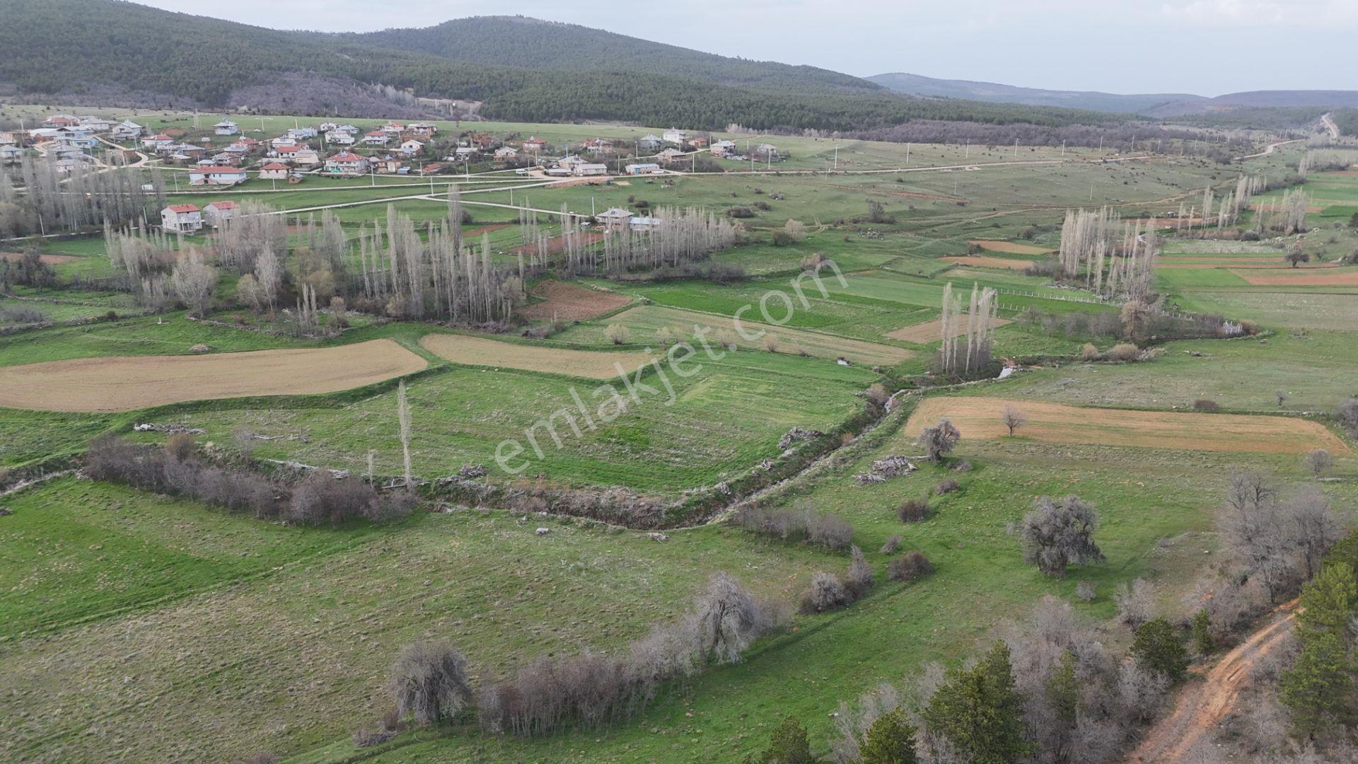 Ilgın Gökbudak'ta 1.375 M² Doğa Manzaralı Satılık Tarla — fotoğraf 9