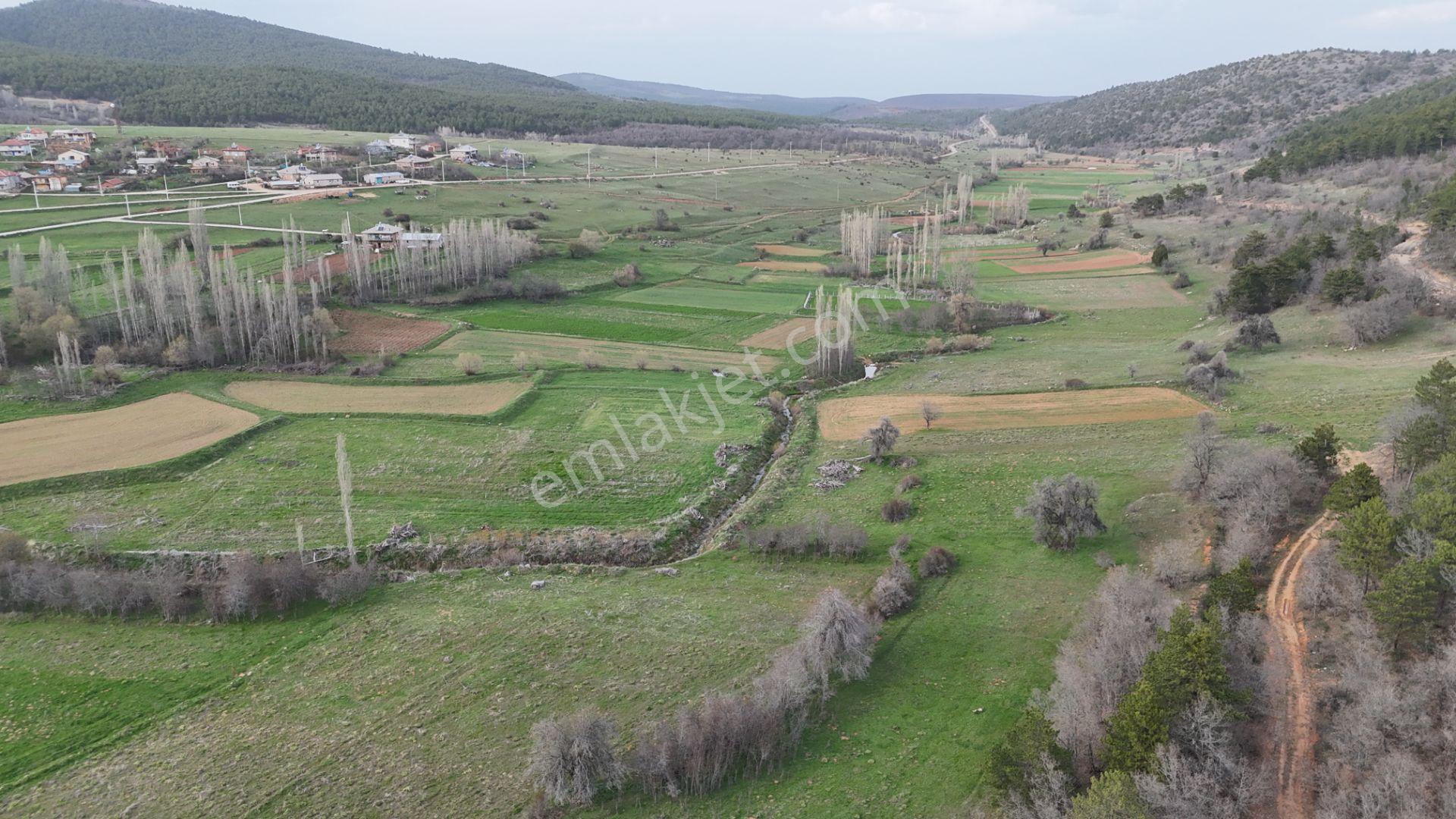 Ilgın Gökbudak'ta 1.375 M² Doğa Manzaralı Satılık Tarla — fotoğraf 10