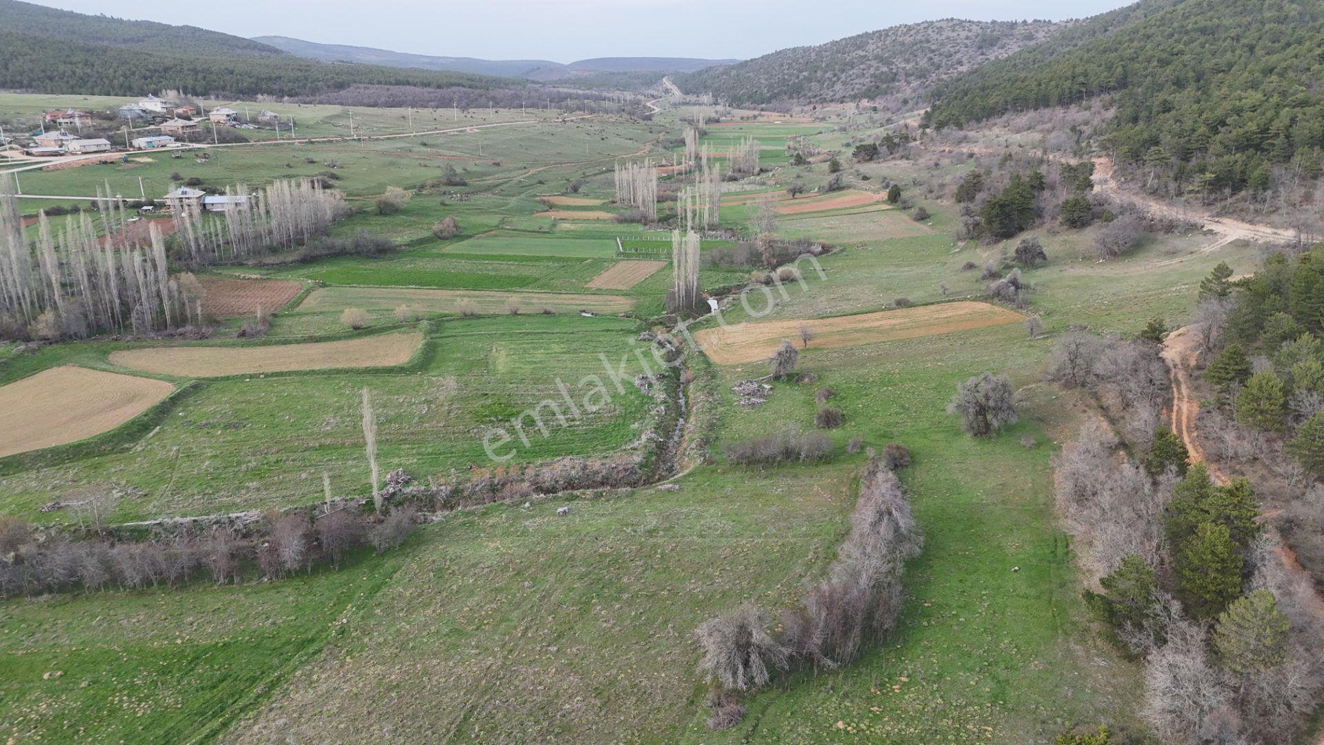 Ilgın Gökbudak'ta 1.375 M² Doğa Manzaralı Satılık Tarla — fotoğraf 11