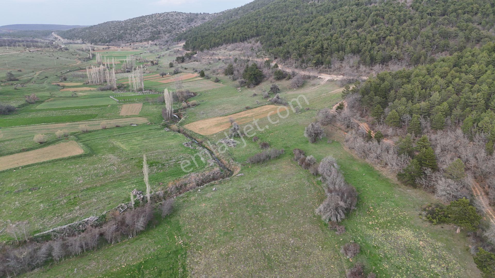 Ilgın Gökbudak'ta 1.375 M² Doğa Manzaralı Satılık Tarla — fotoğraf 12