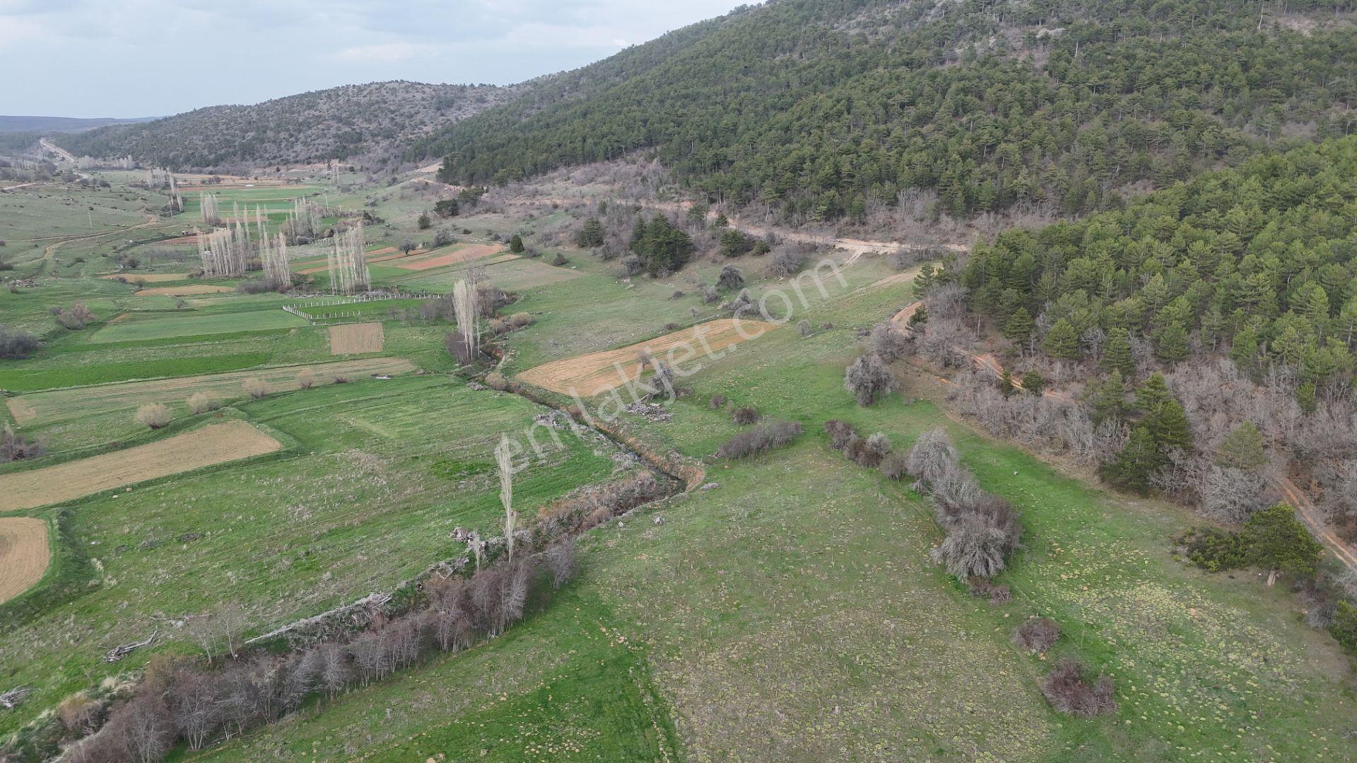 Ilgın Gökbudak'ta 1.375 M² Doğa Manzaralı Satılık Tarla — fotoğraf 13