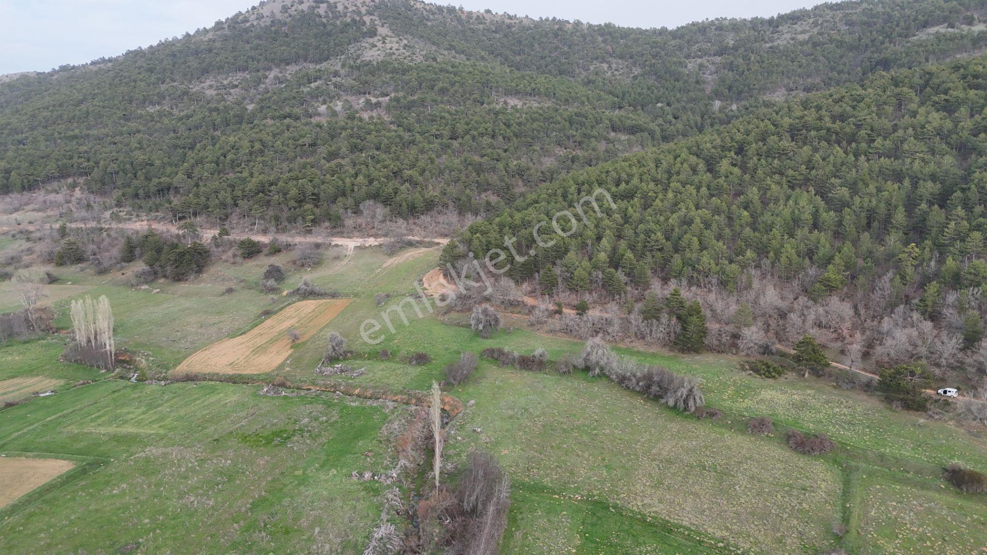 Ilgın Gökbudak'ta 1.375 M² Doğa Manzaralı Satılık Tarla — fotoğraf 14
