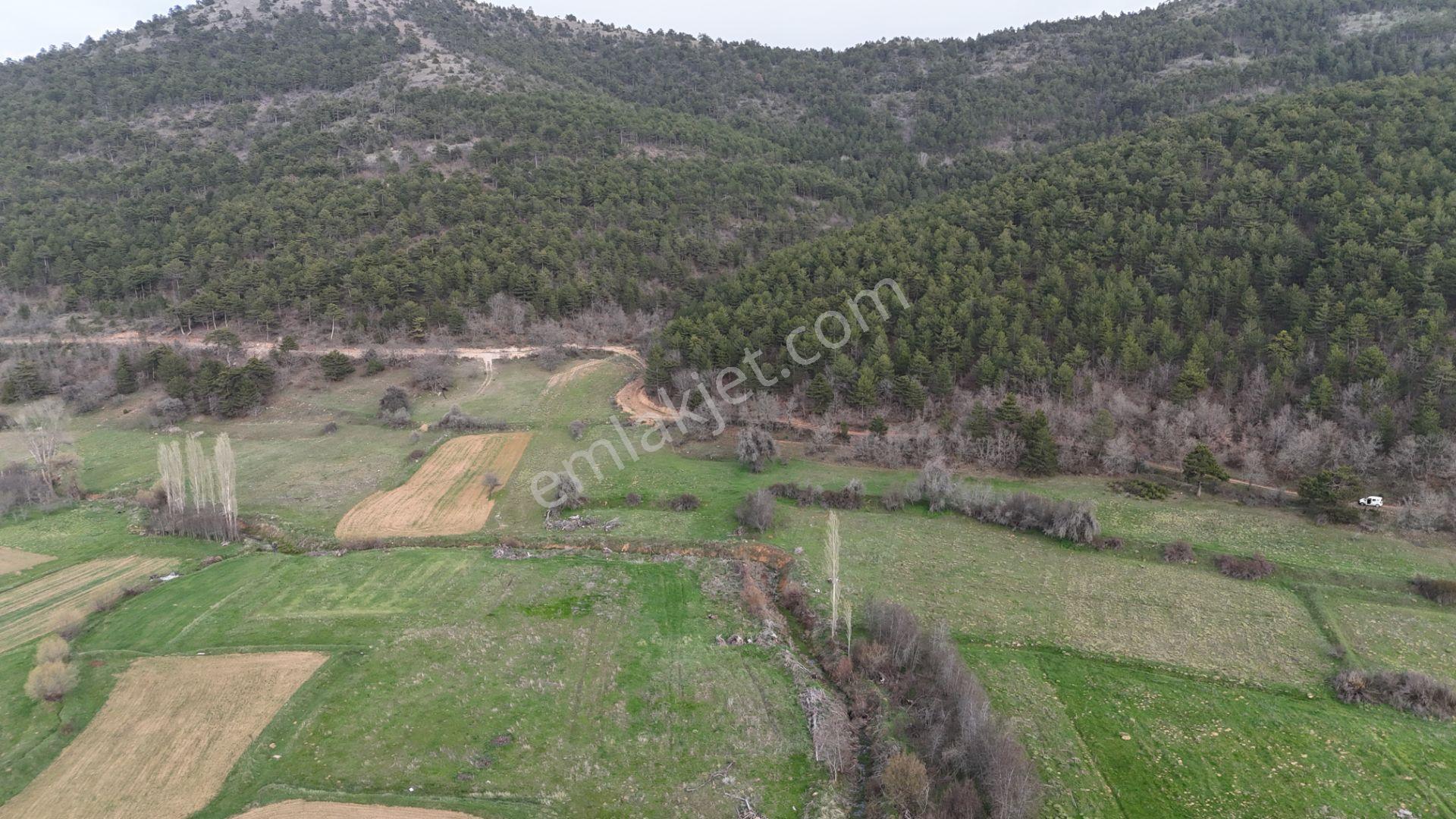 Ilgın Gökbudak'ta 1.375 M² Doğa Manzaralı Satılık Tarla — fotoğraf 15