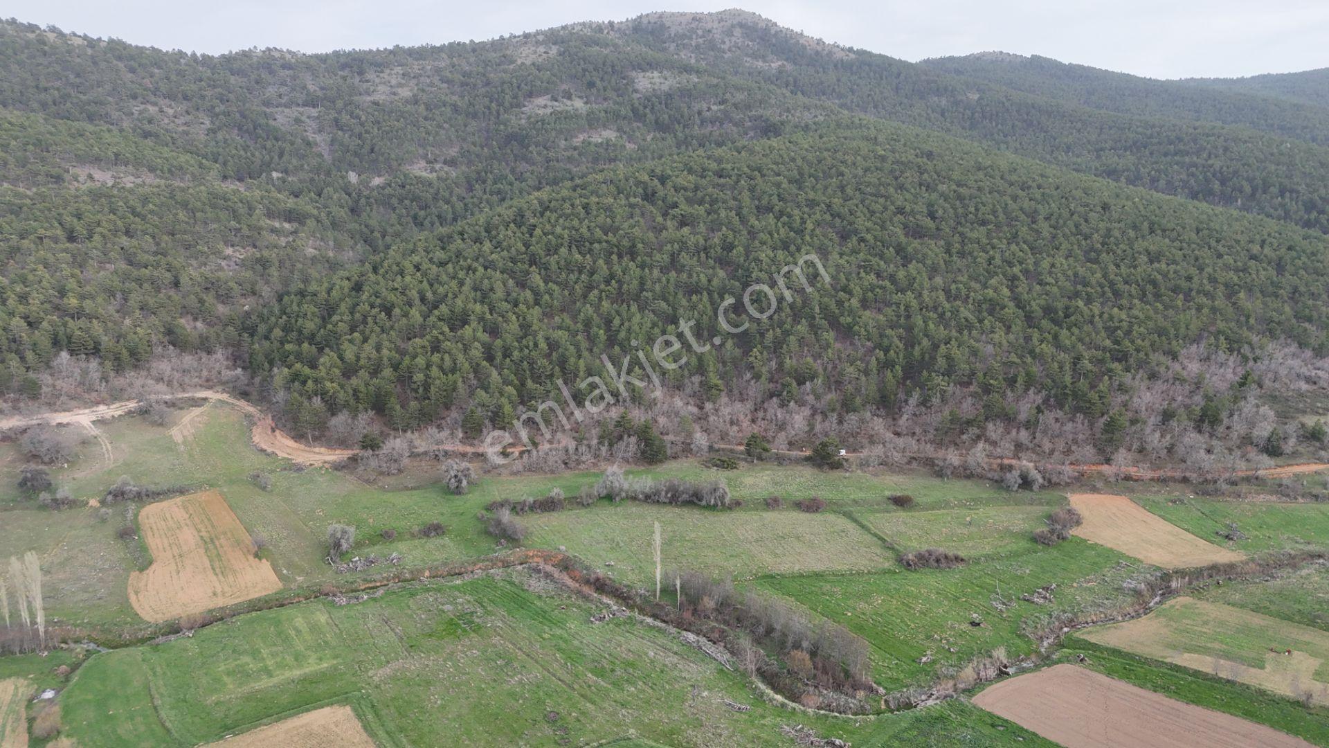 Ilgın Gökbudak'ta 1.375 M² Doğa Manzaralı Satılık Tarla — fotoğraf 16