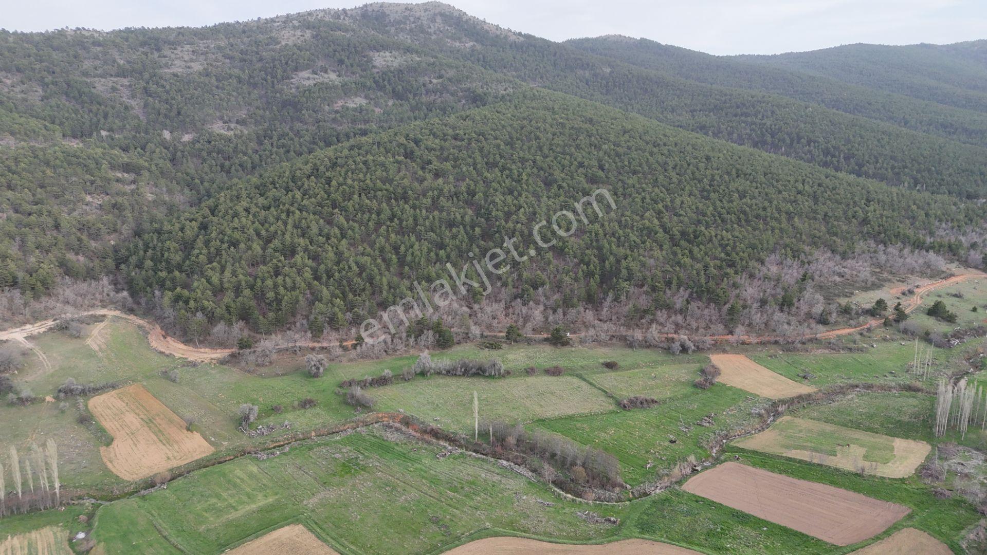 Ilgın Gökbudak'ta 1.375 M² Doğa Manzaralı Satılık Tarla — fotoğraf 17
