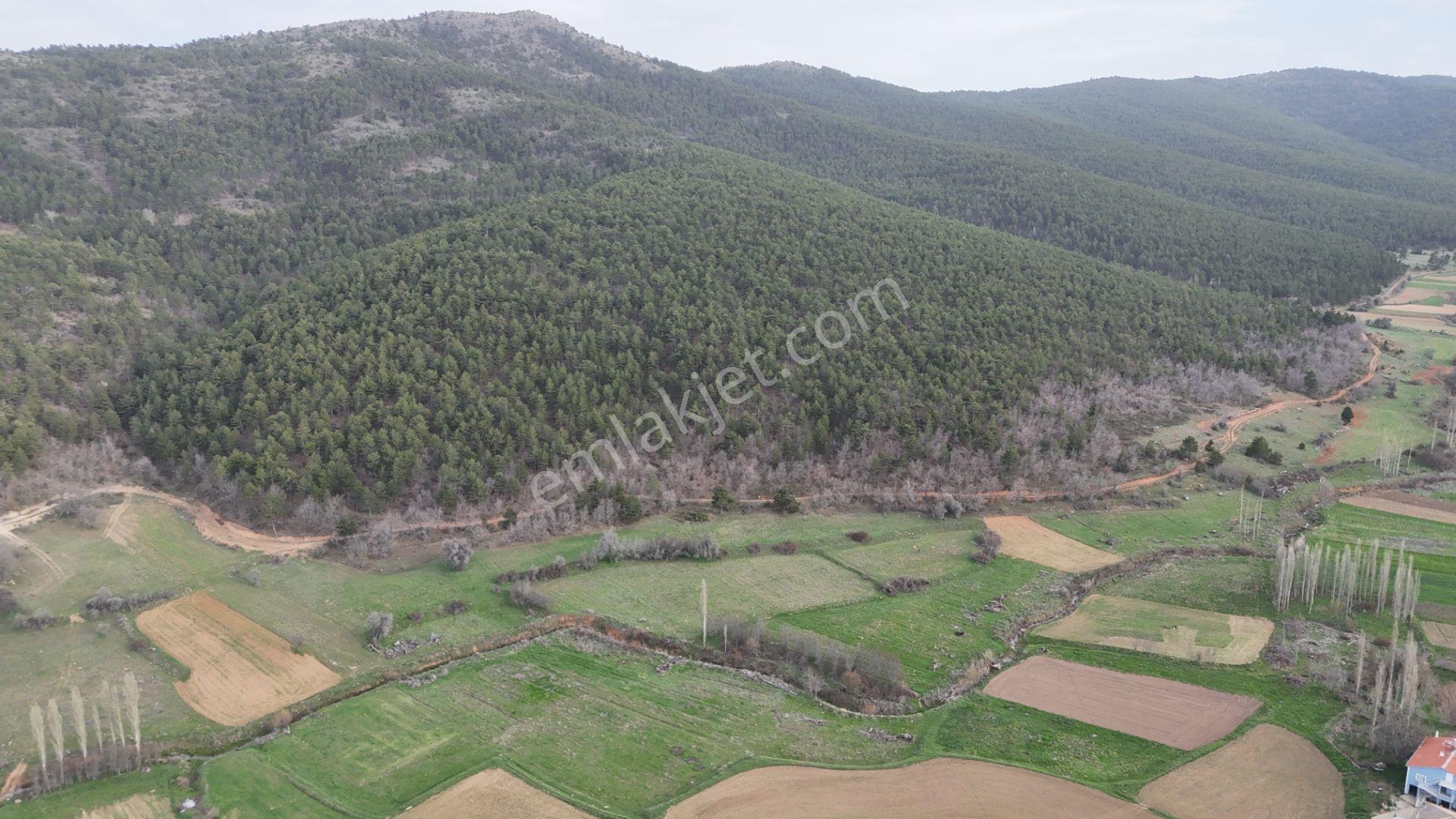 Ilgın Gökbudak'ta 1.375 M² Doğa Manzaralı Satılık Tarla — fotoğraf 18