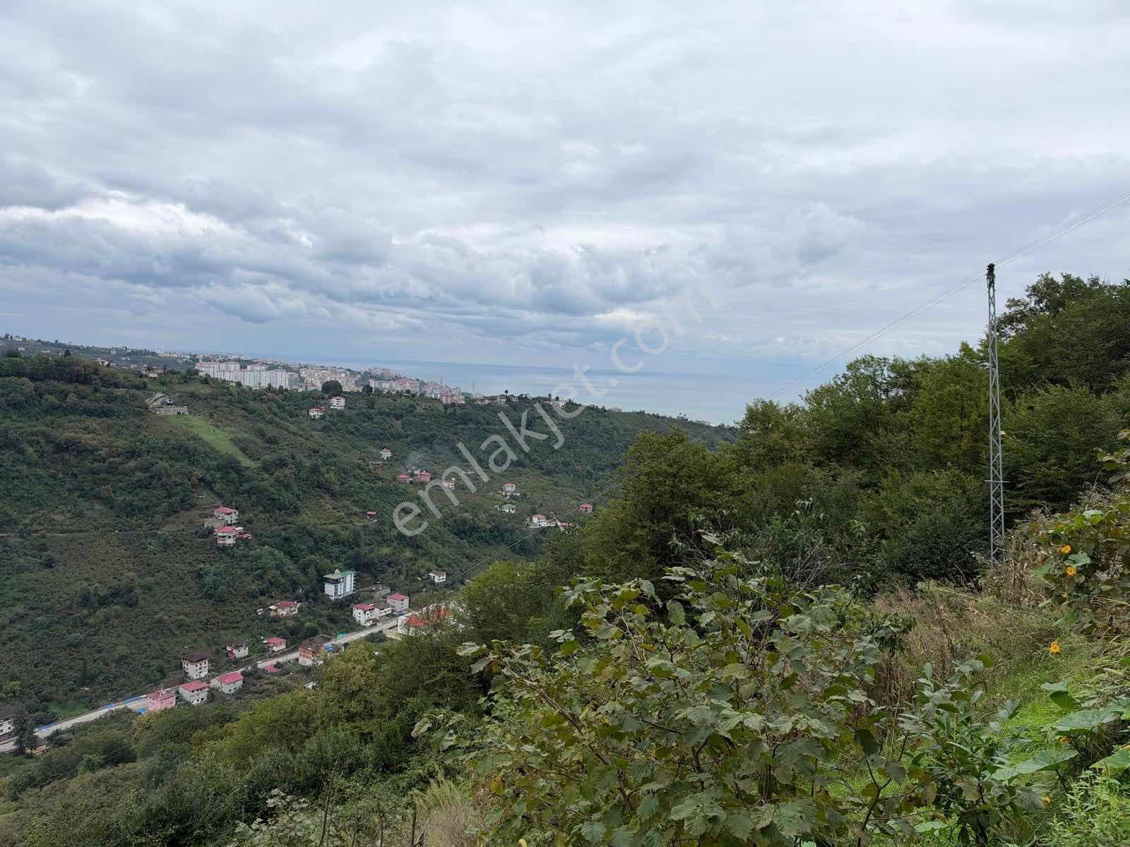 Royal'den Yomra Çınarlıda Satılık Arazi — fotoğraf 2