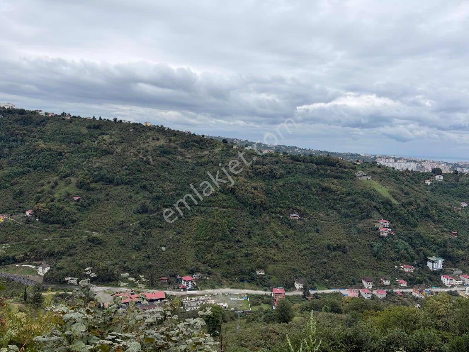 Royal'den Yomra Çınarlıda Satılık Arazi — fotoğraf 3