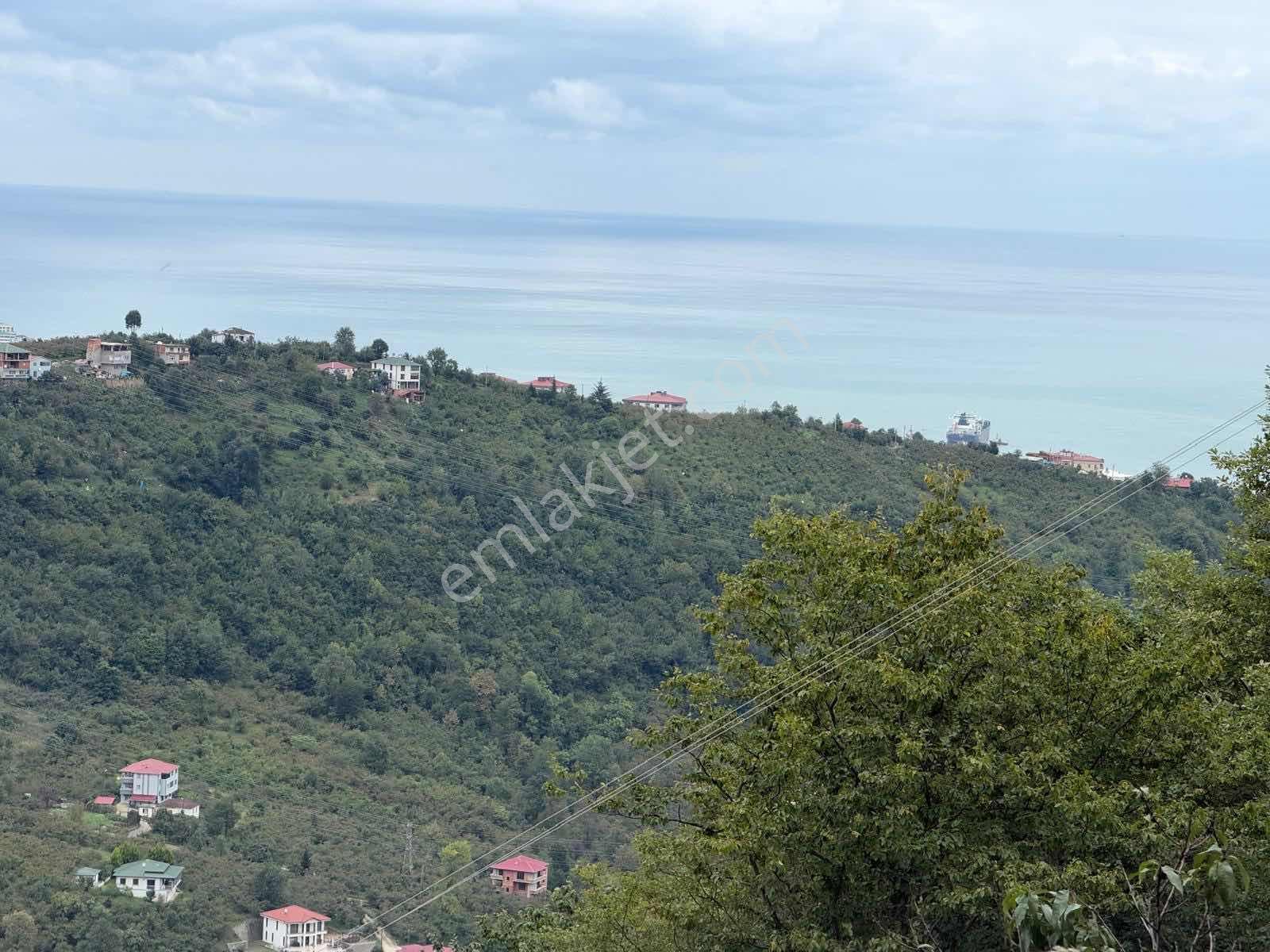 Royal'den Yomra Çınarlıda Satılık Arazi — fotoğraf 6