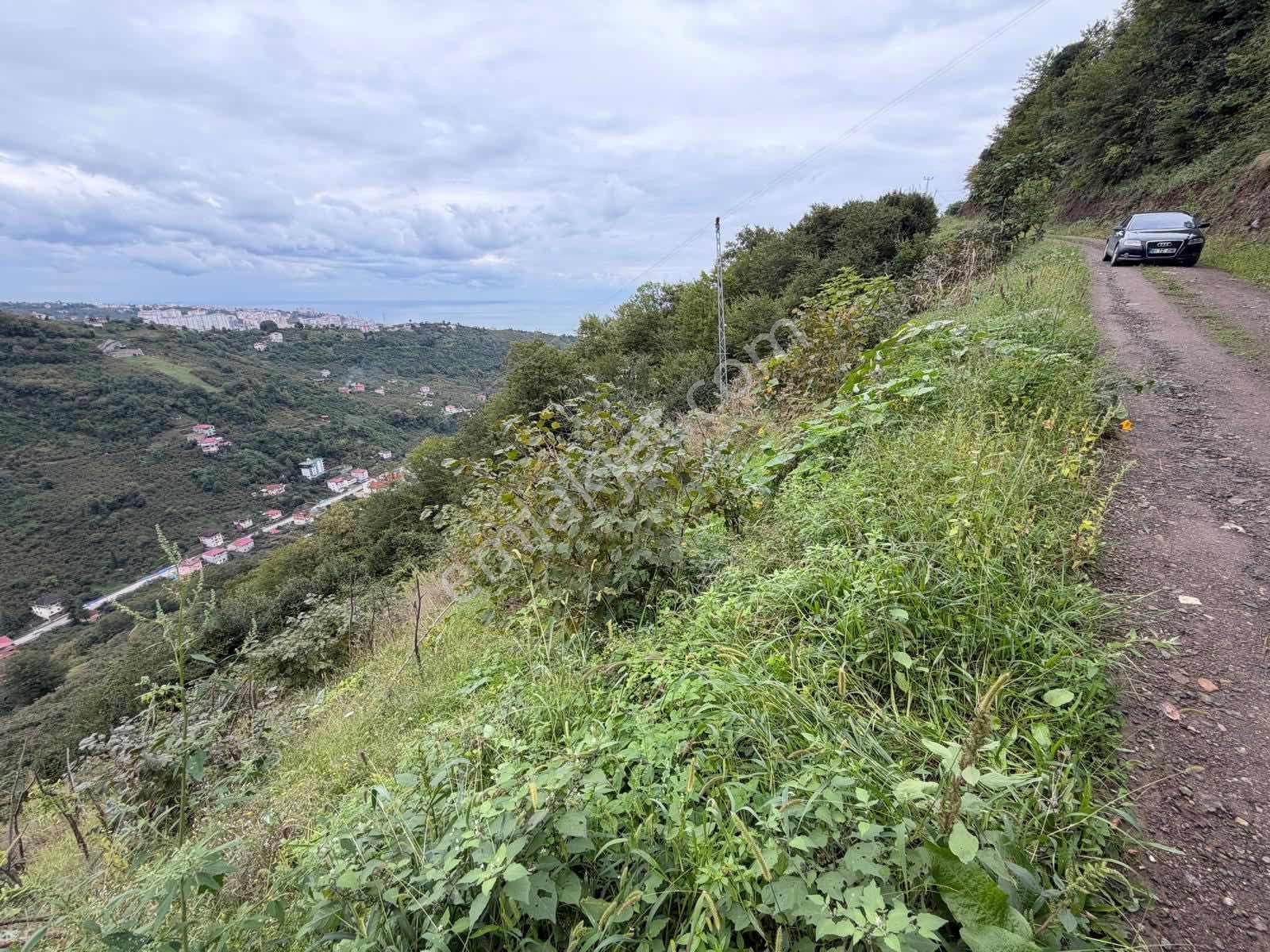 Royal'den Yomra Çınarlıda Satılık Arazi — fotoğraf 7