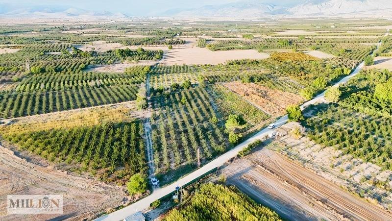 Korkuteli Küçükköyde 2.650 M² Meyve Ağaçlı Verimli Tarla