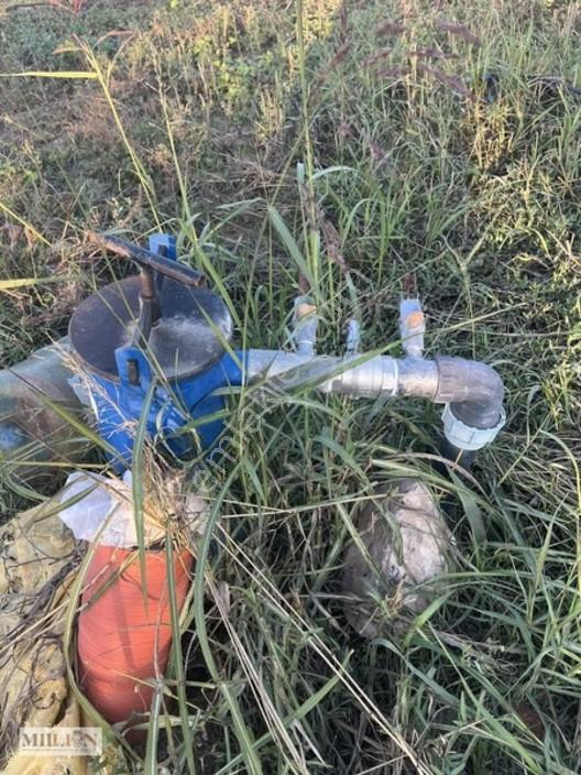 Korkuteli Küçükköyde 2.650 M² Meyve Ağaçlı Verimli Tarla — fotoğraf 5