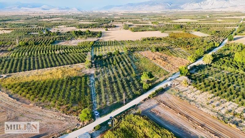 Korkuteli Küçükköyde 2.650 M² Meyve Ağaçlı Verimli Tarla — fotoğraf 8