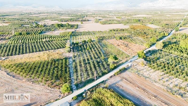 Korkuteli Küçükköyde 2.650 M² Meyve Ağaçlı Verimli Tarla — fotoğraf 9