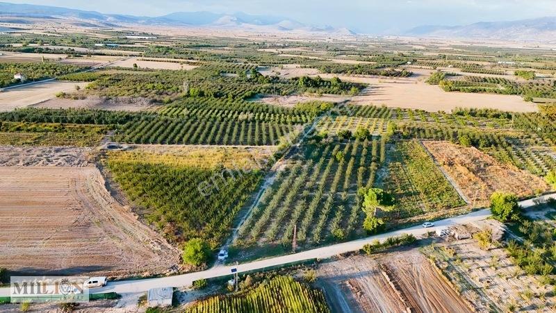 Korkuteli Küçükköyde 2.650 M² Meyve Ağaçlı Verimli Tarla — fotoğraf 11
