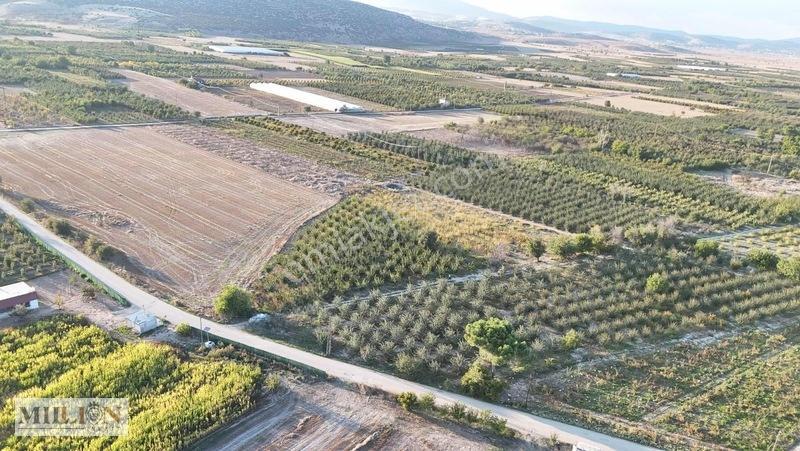 Korkuteli Küçükköyde 2.650 M² Meyve Ağaçlı Verimli Tarla — fotoğraf 12