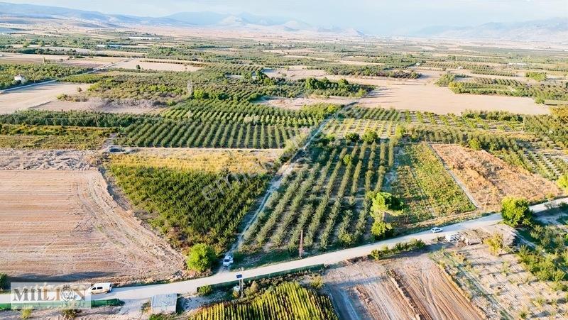 Korkuteli Küçükköyde 2.650 M² Meyve Ağaçlı Verimli Tarla — fotoğraf 13