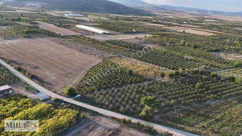 Korkuteli Küçükköyde 2.650 M² Meyve Ağaçlı Verimli Tarla — fotoğraf 14