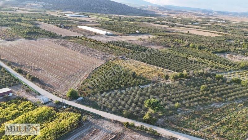 Korkuteli Küçükköyde 2.650 M² Meyve Ağaçlı Verimli Tarla — fotoğraf 15