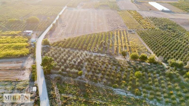 Korkuteli Küçükköyde 2.650 M² Meyve Ağaçlı Verimli Tarla — fotoğraf 18