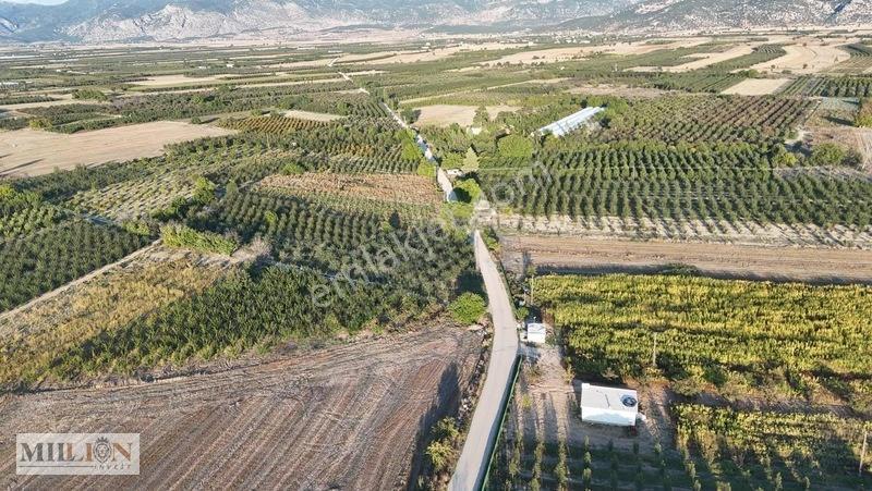 Korkuteli Küçükköyde 2.650 M² Meyve Ağaçlı Verimli Tarla — fotoğraf 19