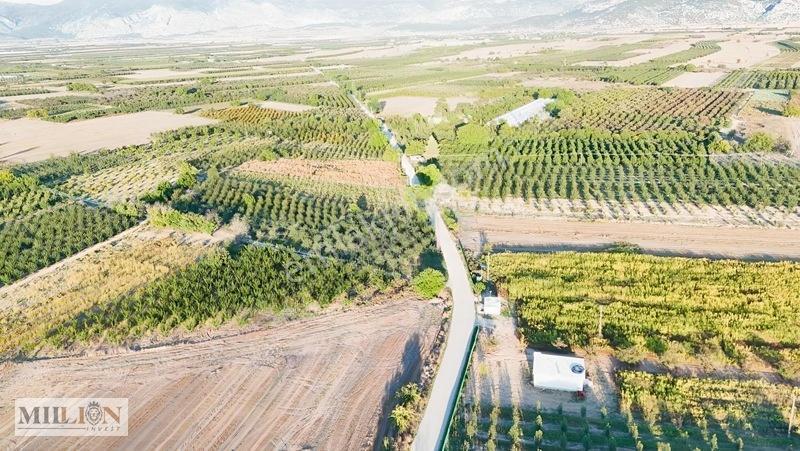 Korkuteli Küçükköyde 2.650 M² Meyve Ağaçlı Verimli Tarla — fotoğraf 20