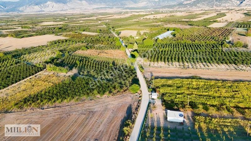 Korkuteli Küçükköyde 2.650 M² Meyve Ağaçlı Verimli Tarla — fotoğraf 21