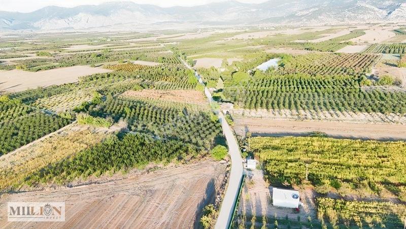 Korkuteli Küçükköyde 2.650 M² Meyve Ağaçlı Verimli Tarla — fotoğraf 22