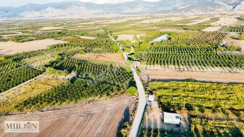 Korkuteli Küçükköyde 2.650 M² Meyve Ağaçlı Verimli Tarla — fotoğraf 23
