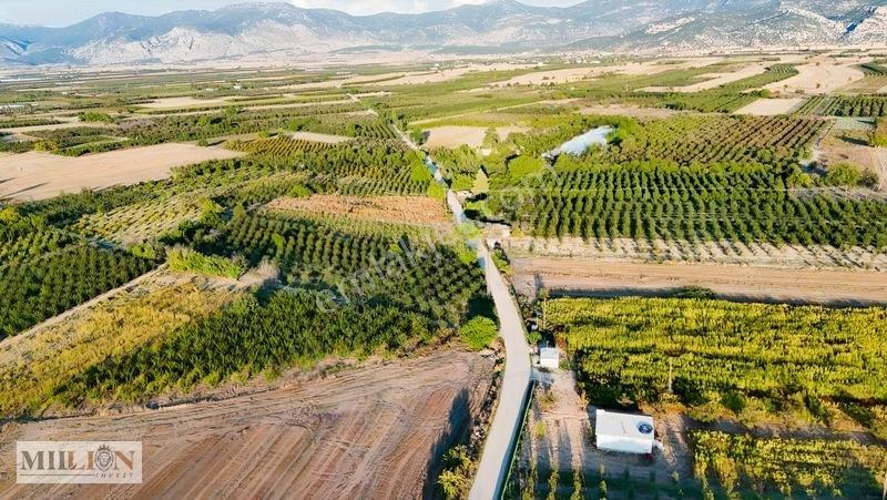 Korkuteli Küçükköyde 2.650 M² Meyve Ağaçlı Verimli Tarla — fotoğraf 24
