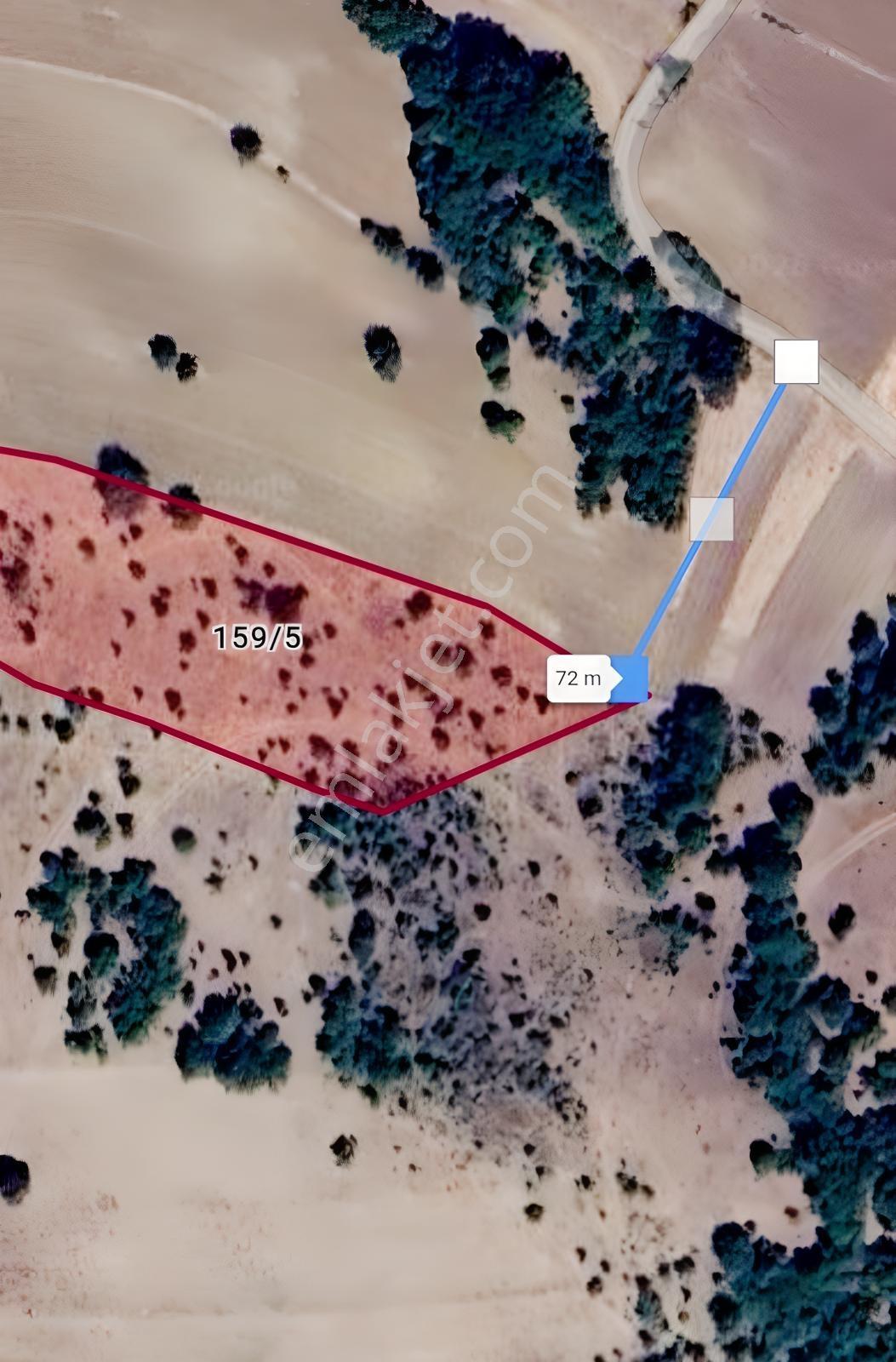 Rw Detay'dan Söğüt Dereboyu Köyü Satılık 5000 M2 Tarla — fotoğraf 2