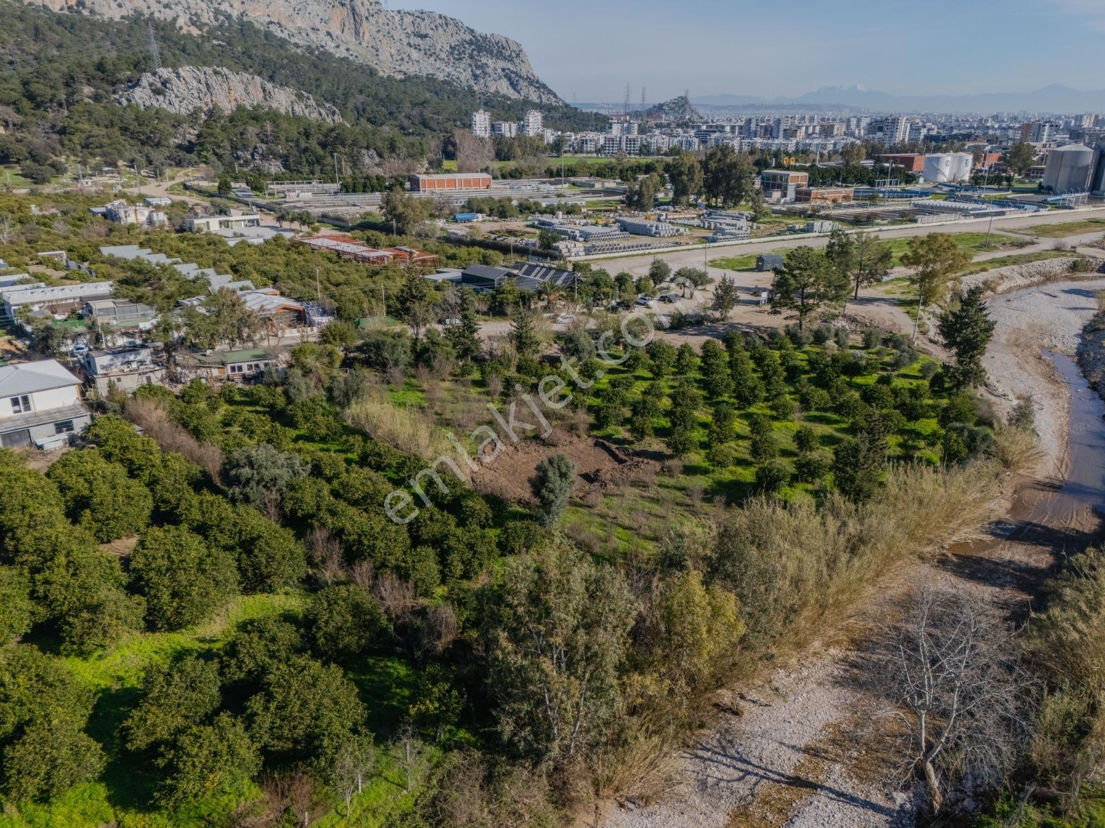 Konyaaltı Sarısuda İmar Sınırında 6.350 M² Değerli Parsel — fotoğraf 12