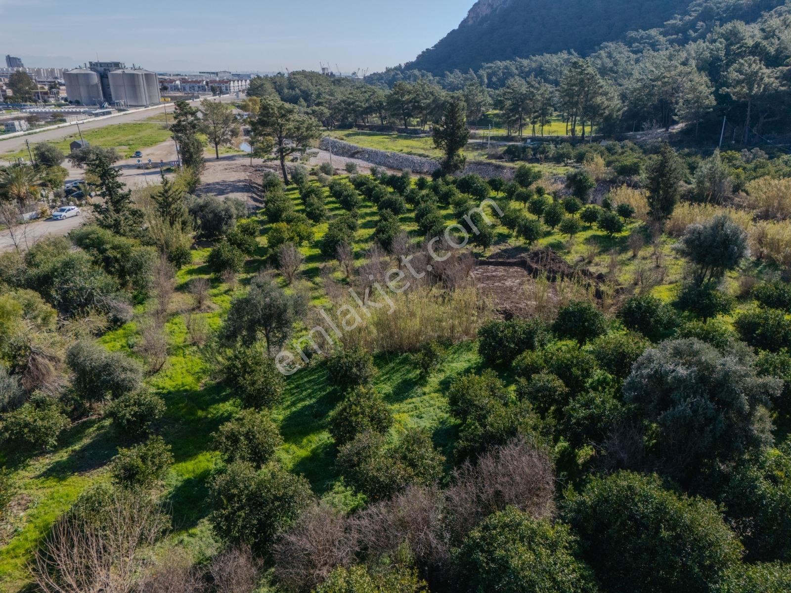 Konyaaltı Sarısuda İmar Sınırında 6.350 M² Değerli Parsel — fotoğraf 16