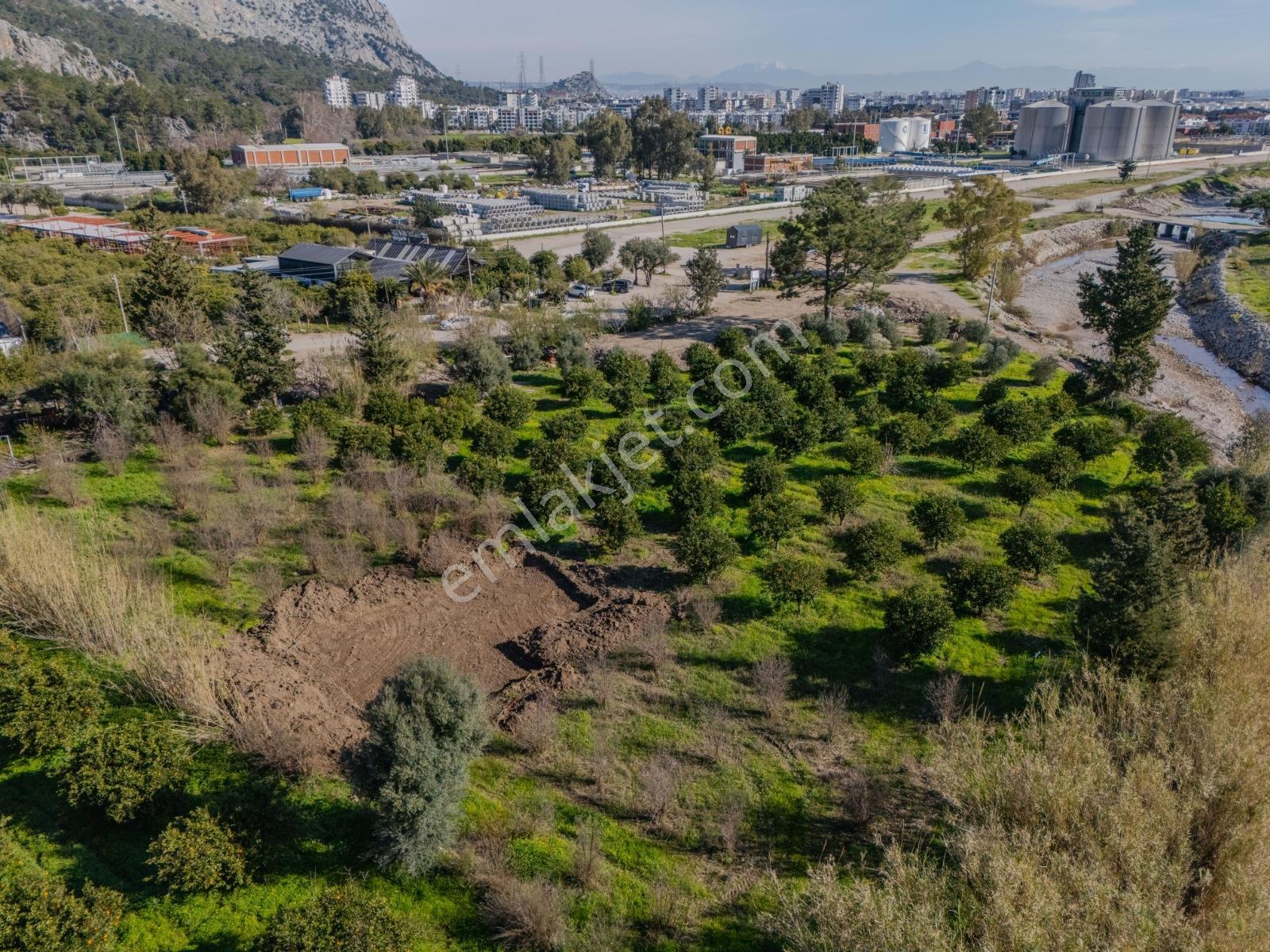 Konyaaltı Sarısuda İmar Sınırında 6.350 M² Değerli Parsel — fotoğraf 17