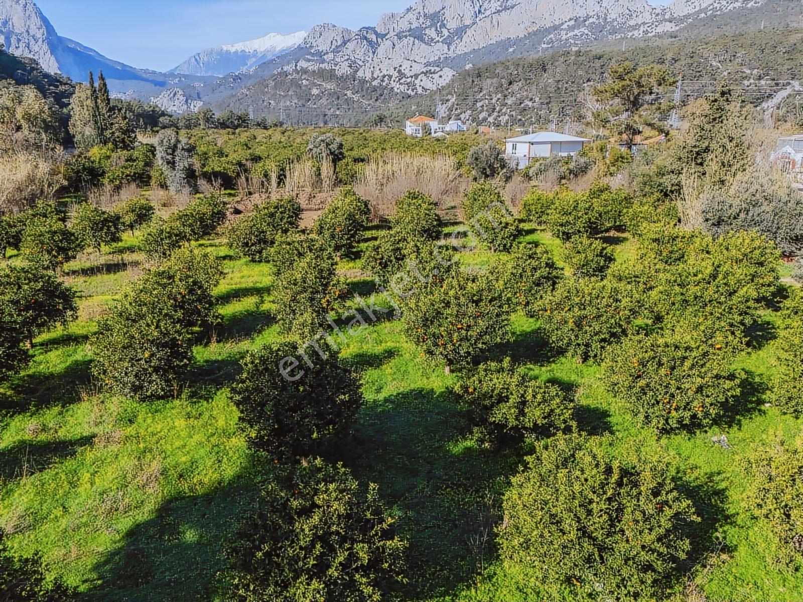 Konyaaltı Sarısuda İmar Sınırında 6.350 M² Değerli Parsel — fotoğraf 19