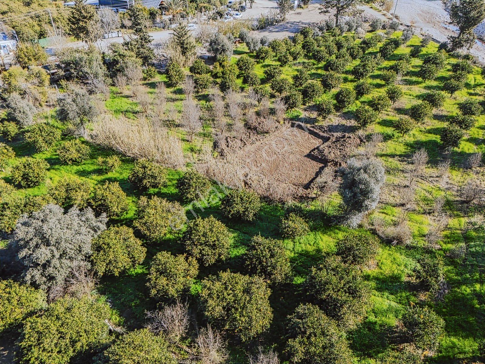 Konyaaltı Sarısuda İmar Sınırında 6.350 M² Değerli Parsel — fotoğraf 22