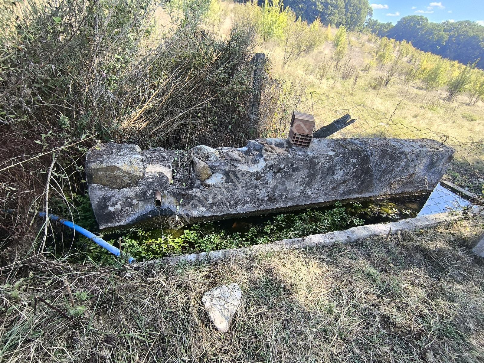 Balya Kaya Emlak.. Ilıca Mah. Satılık 120 Dönüm Tarla — fotoğraf 7