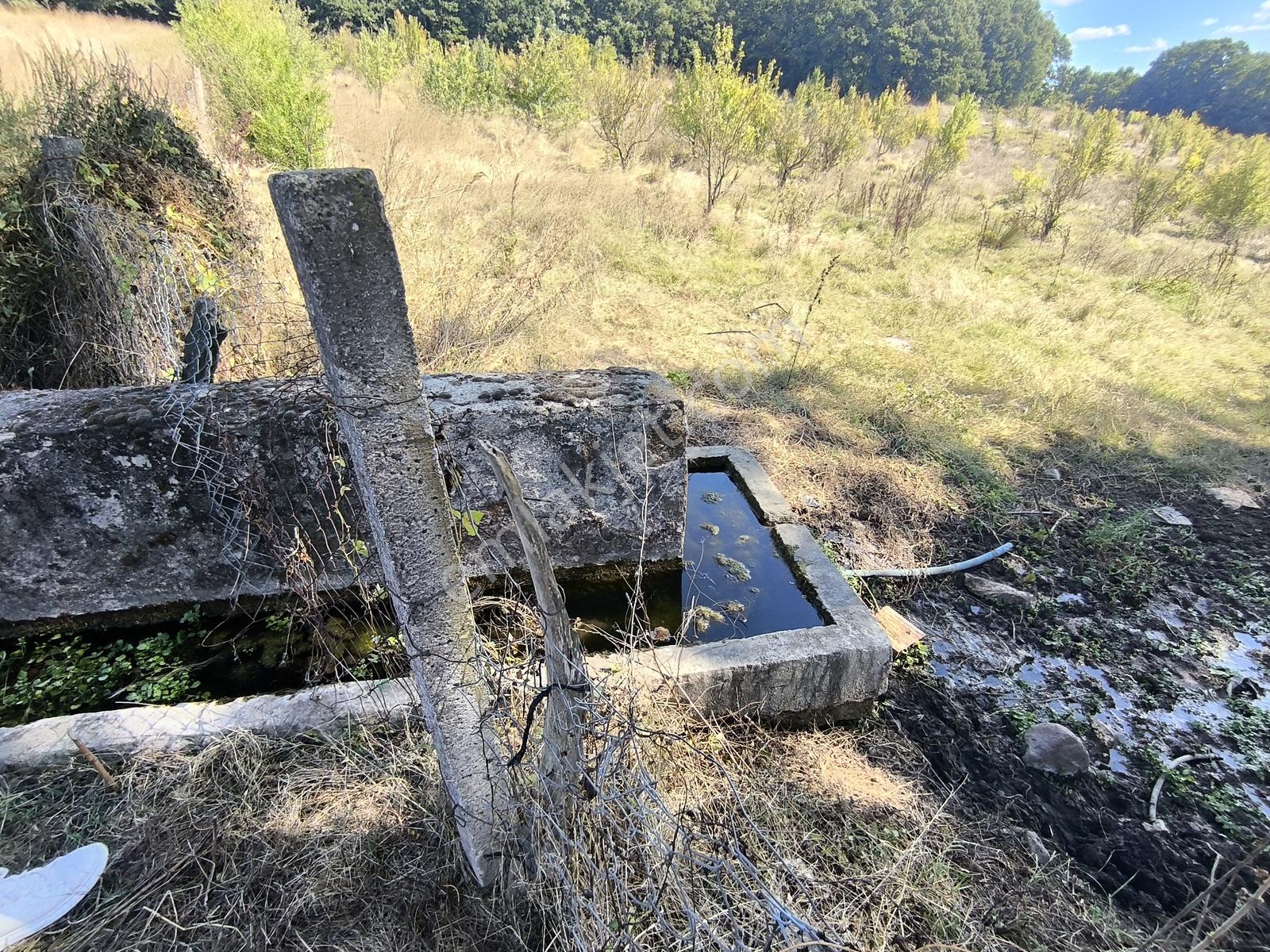 Balya Kaya Emlak.. Ilıca Mah. Satılık 120 Dönüm Tarla — fotoğraf 8