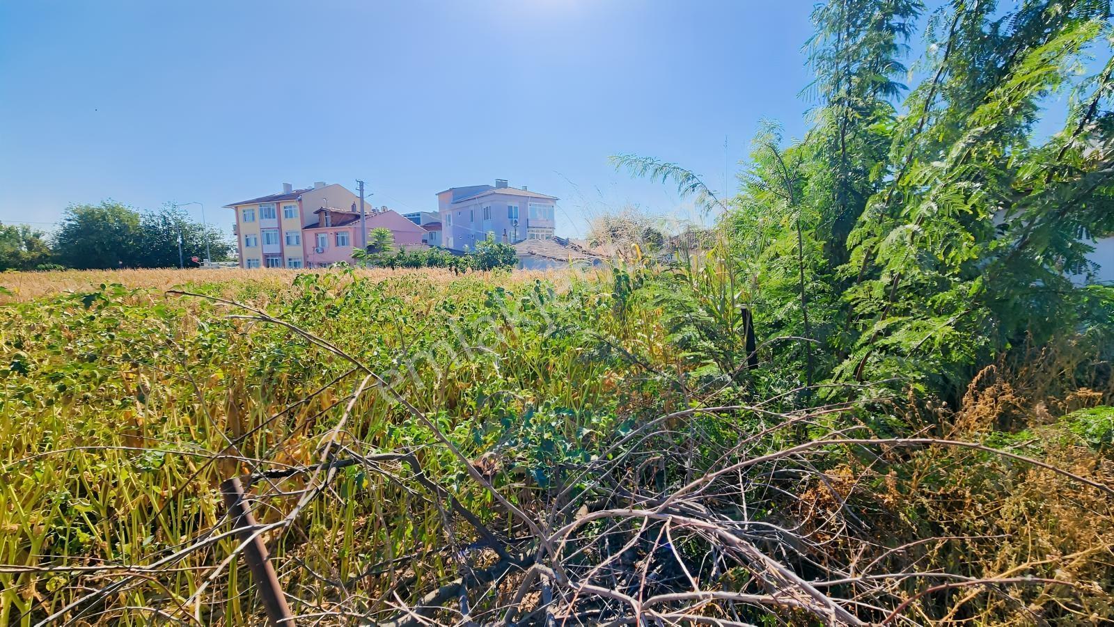 Edirne Yeni İmaret'de Milli Sarayların Yanında Satılık Arsa — fotoğraf 4