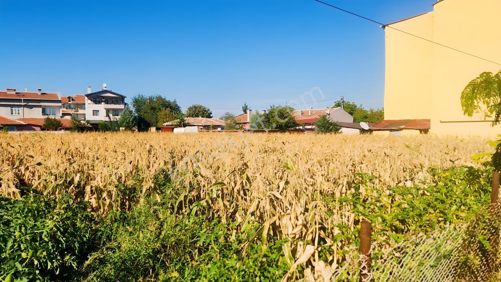 Edirne Yeni İmaret'de Milli Sarayların Yanında Satılık Arsa — fotoğraf 19