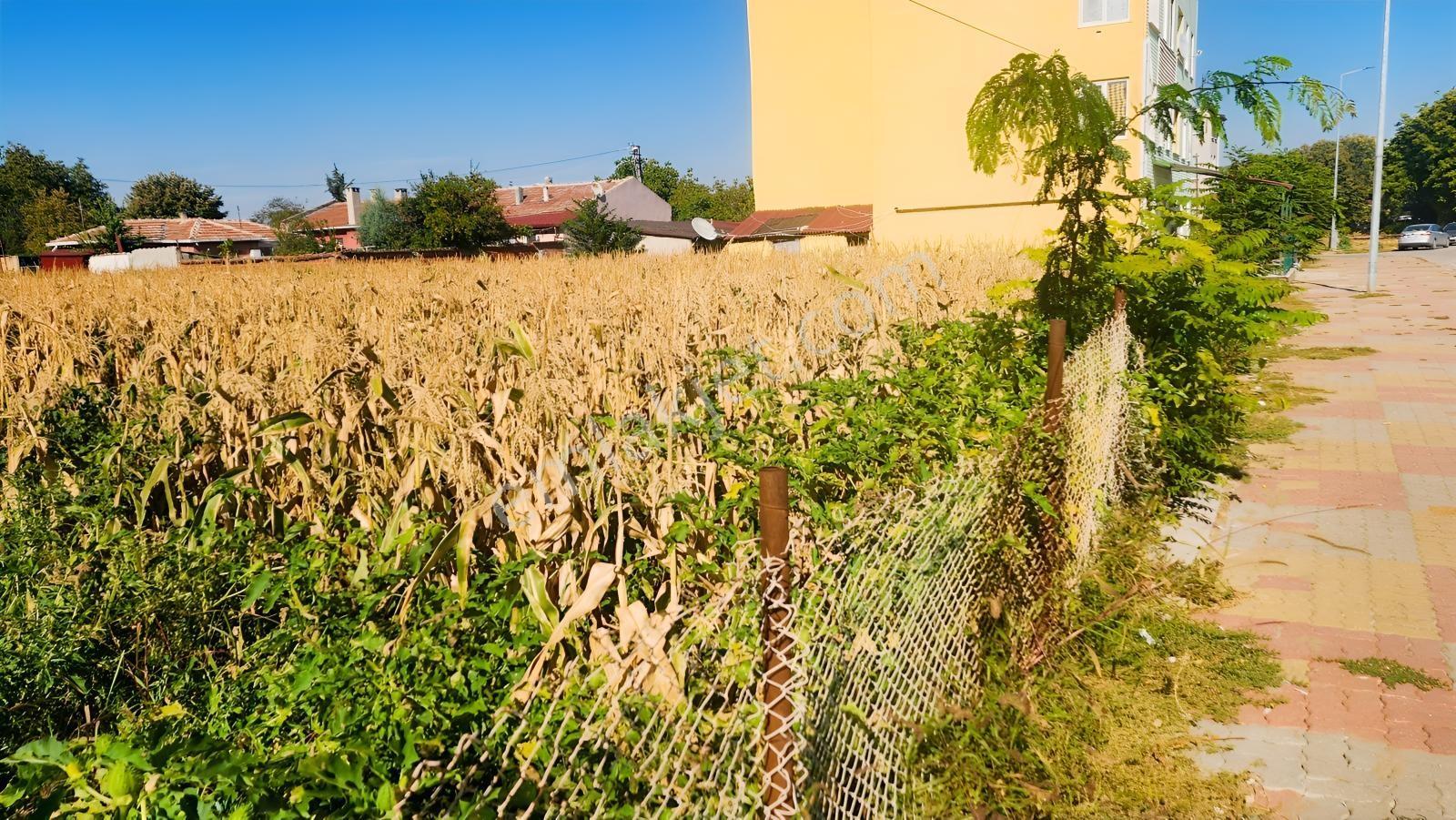 Edirne Yeni İmaret'de Milli Sarayların Yanında Satılık Arsa — fotoğraf 20