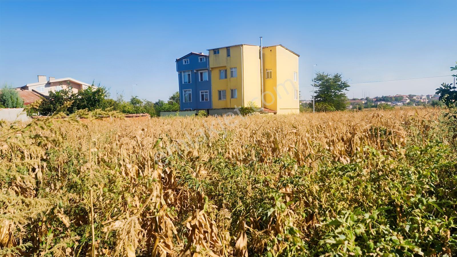 Edirne Yeni İmaret'de Milli Sarayların Yanında Satılık Arsa — fotoğraf 24