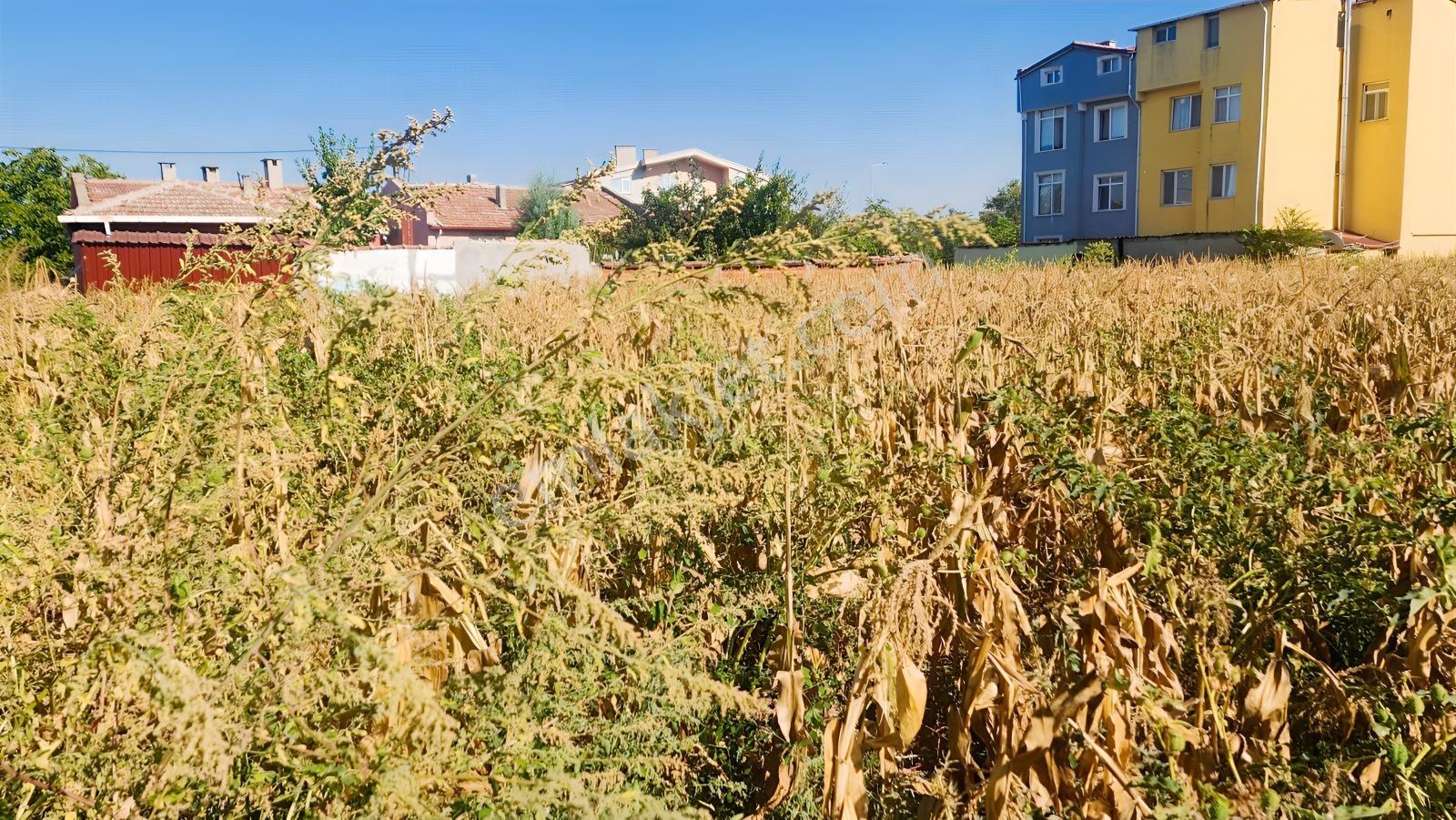 Edirne Yeni İmaret'de Milli Sarayların Yanında Satılık Arsa — fotoğraf 25