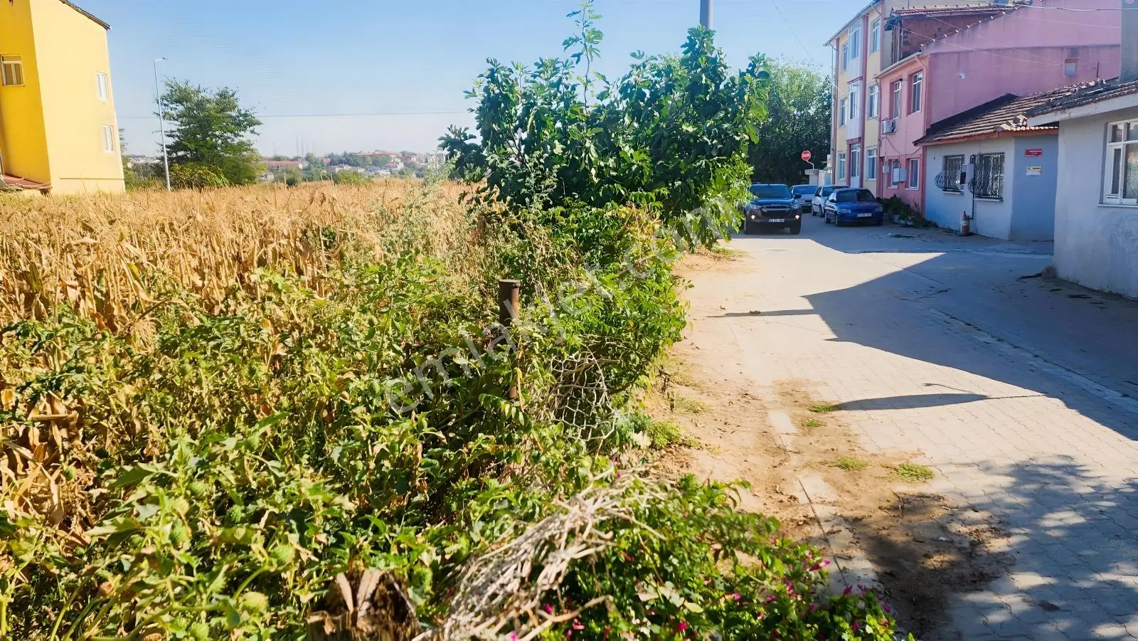 Edirne Yeni İmaret'de Milli Sarayların Yanında Satılık Arsa — fotoğraf 26