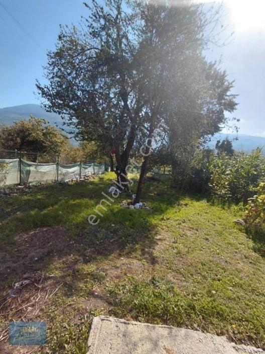 1000 Mt2 Arsa İçinde 120 Mt2 Müstakil Ev — fotoğraf 8