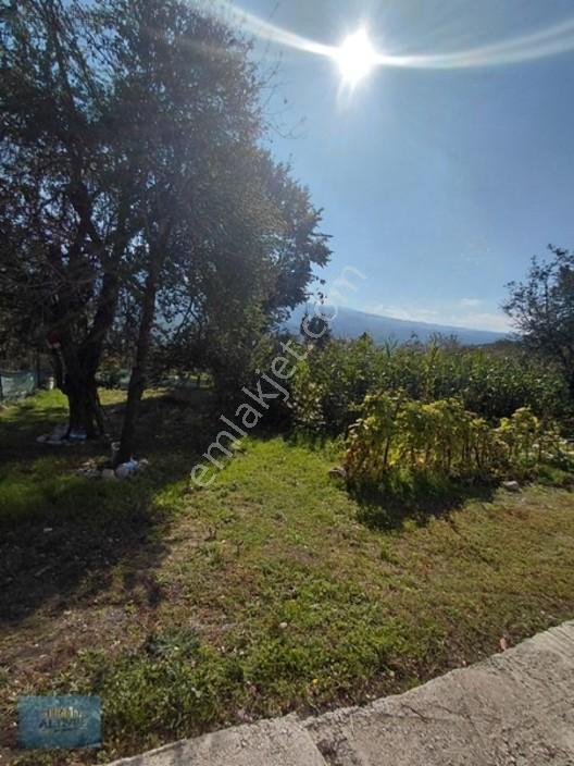 1000 Mt2 Arsa İçinde 120 Mt2 Müstakil Ev — fotoğraf 9