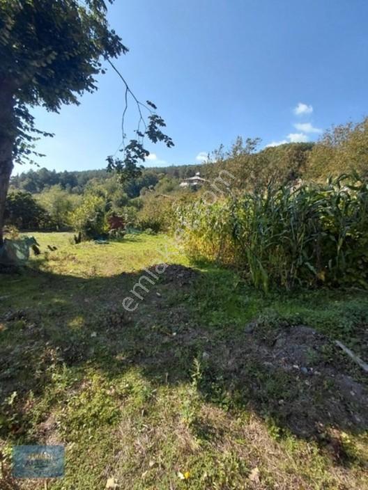 1000 Mt2 Arsa İçinde 120 Mt2 Müstakil Ev — fotoğraf 10