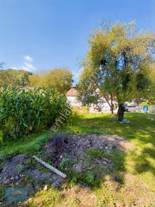 1000 Mt2 Arsa İçinde 120 Mt2 Müstakil Ev — fotoğraf 11