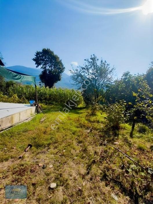 1000 Mt2 Arsa İçinde 120 Mt2 Müstakil Ev — fotoğraf 33